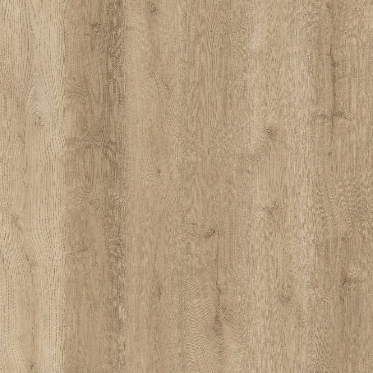 WICANDERS START LVT - Arabian Desert Oak B1UZ001