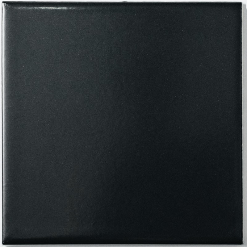 Мозаика  FK-107М керамика матовая (100*100) чёрная